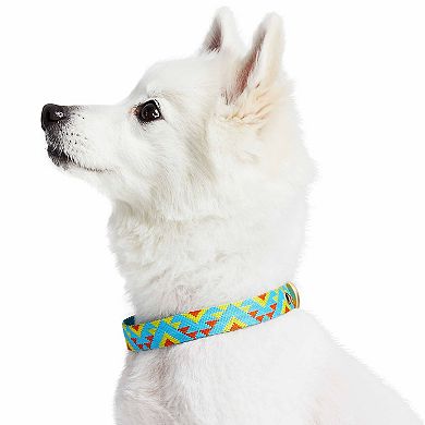 Blueberry Pet Southwestern Geometric Triangles Dog Collar