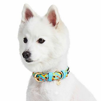 Blueberry Pet Southwestern Geometric Triangles Dog Collar