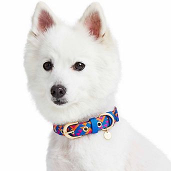 Blueberry Pet Southwestern Geometric Triangles Dog Collar