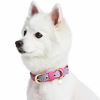 Blueberry Pet Southwestern Geometric Pattern Dog Collar