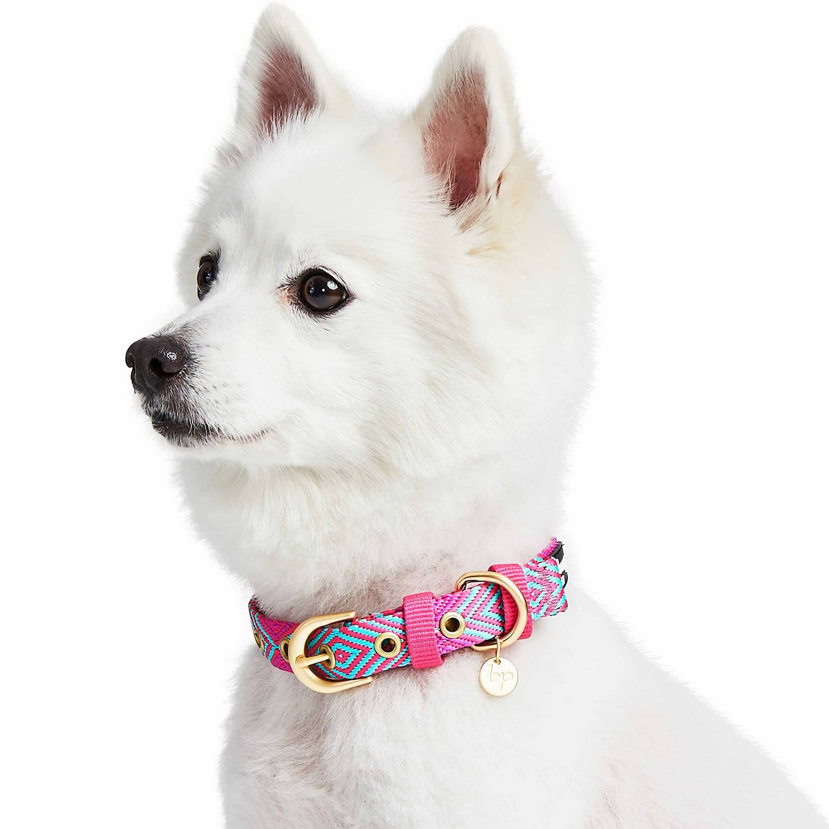 kohls.com | Blueberry Pet Southwestern Geometric Pattern Dog Collar