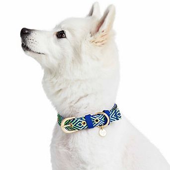 Blueberry Pet Southwestern Geometric Pattern Dog Collar