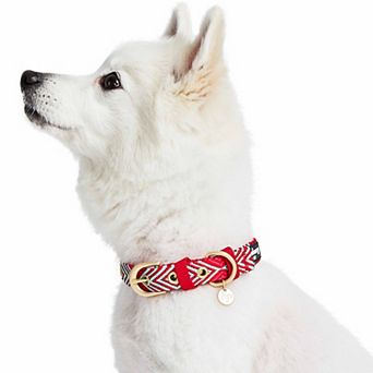 Blueberry Pet Southwestern Geometric Pattern Dog Collar