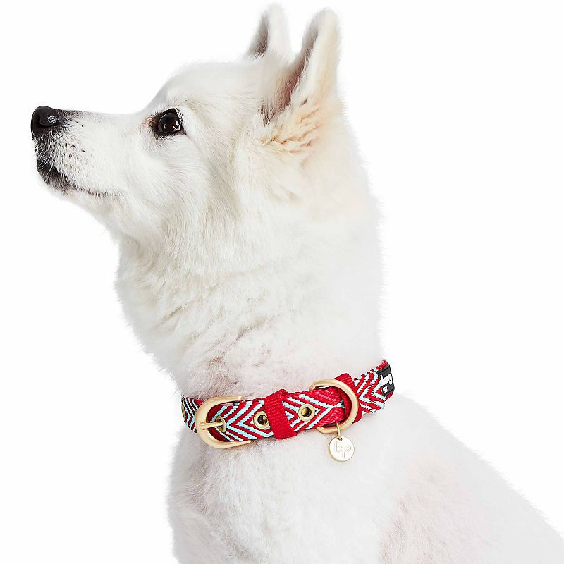 WinCraft St. Louis Cardinals Medium Adjustable Pet Collar