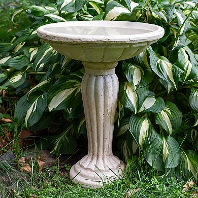 Sunnydaze Grecian Garden Reinforced Concrete Bird Bath - 16-Inch