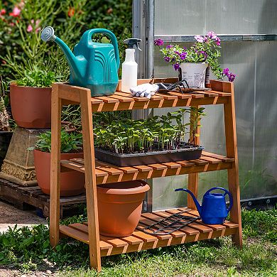 Sunnydaze 3-Tier Meranti Wood Plant Stand with Teak Oil Finish - 36 in