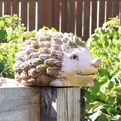 Sunnydaze Hazel The Hedgehog Indoor/outdoor Garden Statue - 7 In