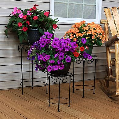 Sunnydaze 3-Piece Metal Iron Plant Stand Set with Scroll Design - Black Finish