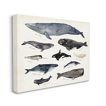 Stupell Home Decor Nautical Chart of Whales Canvas Wall Art