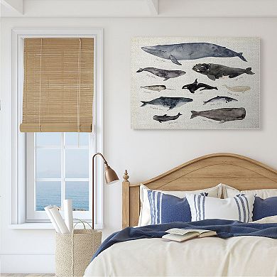 Stupell Home Decor Nautical Chart of Whales Ocean Canvas Wall Art
