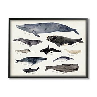 Stupell Home Decor Nautical Chart of Whales Ocean Framed Wall Art