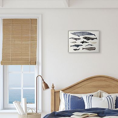 Stupell Home Decor Ocean Nautical Chart of Whales Framed Wall Art