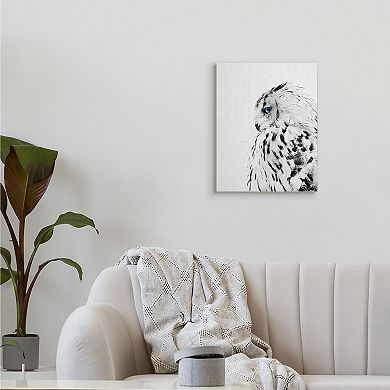 Stupell Home Decor Snow Owl Peering Canvas Wall Art