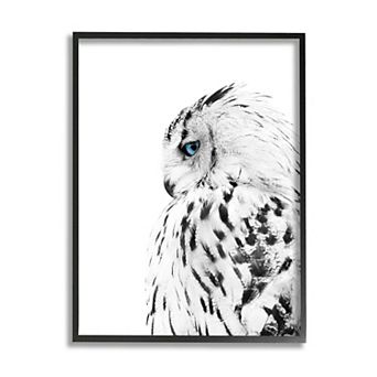 Stupell Home Decor Snow Owl Feathers Framed Wall Art