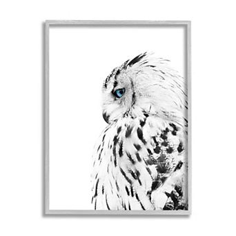 Stupell Home Decor Snow Owl White Framed Wall Art