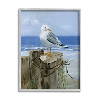 Stupell Home Decor Seagull Sand Dollar Nautical Framed Wall Art