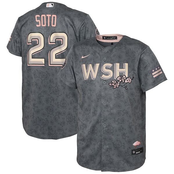 Nike Juan Soto #22 Washington Nationals Cherry Blossom Jersey Gray Size  Large