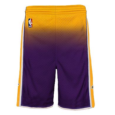 Youth Mitchell & Ness Gold/Purple Los Angeles Lakers 2009/10 Hardwood ...