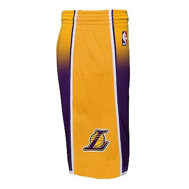 Youth Mitchell & Ness Gold/Purple Los Angeles Lakers 2009/10 Hardwood ...