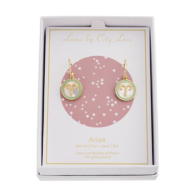 City Luxe Mother of Pearl Aquarius Drop Earrings