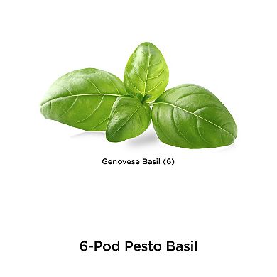 AeroGarden Pesto Basil 6-Pod Seed Kit