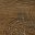 Coastal Oak White