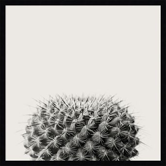 Amanti Art Haze Cactus Succulent Framed Wall Art