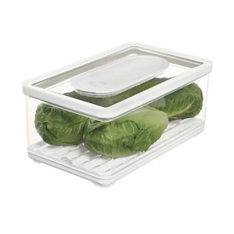 iDesign iDFresh Large Produce Storage Bin