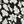 Black White Floral