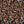 Leopard Multi