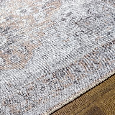 Decor 140 Taysia Transitional Washable Area Rug