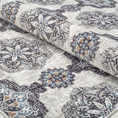 Mason Brooks Celestia Traditional Vintage Area Rug