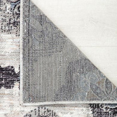 Mason Brooks Celestia Traditional Vintage Area Rug