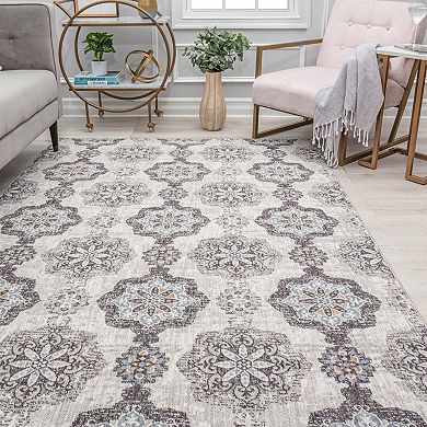 Mason Brooks Celestia Traditional Vintage Area Rug