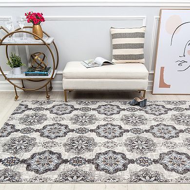 Mason Brooks Celestia Traditional Vintage Area Rug