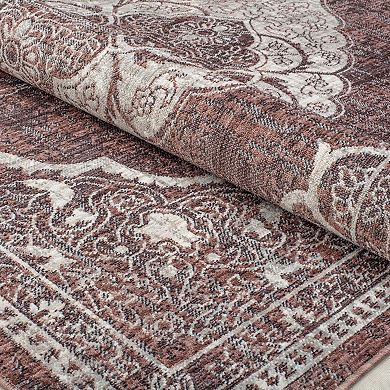 Mason Brooks Celestia Traditional Vintage Area Rug