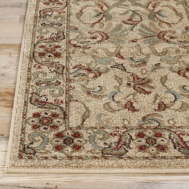 Superior Heritage Traditional Floral Scroll Indoor Area Rug