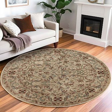 Superior Heritage Traditional Floral Scroll Indoor Area Rug