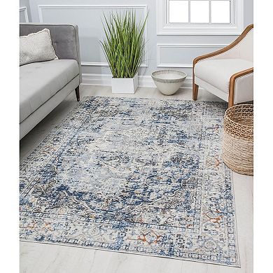 Rugs America Prescott Vintage Transitional Area Rug