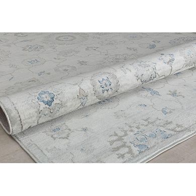 Rugs America Samina Vintage Abstract Area Rug