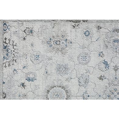 Rugs America Samina Vintage Abstract Area Rug