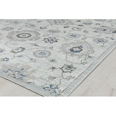 Rugs America Samina Vintage Abstract Area Rug