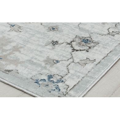 Rugs America Samina Vintage Abstract Area Rug