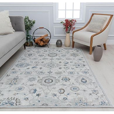 Rugs America Samina Vintage Abstract Area Rug