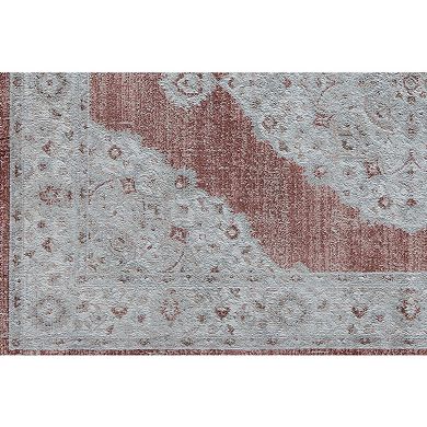 Rugs America Samina Vintage Abstract Area Rug