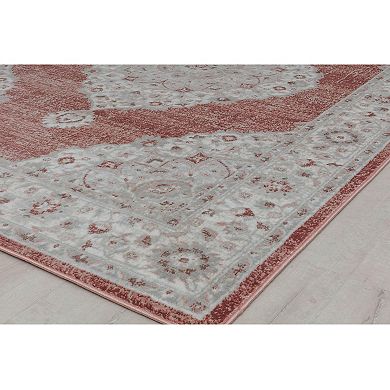 Rugs America Samina Vintage Abstract Area Rug