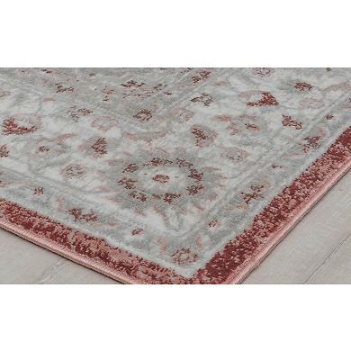 Rugs America Samina Vintage Abstract Area Rug