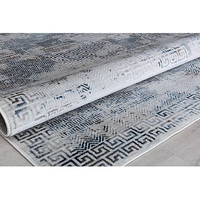 Rugs America Samina Vintage Abstract Area Rug
