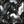 Black Multi