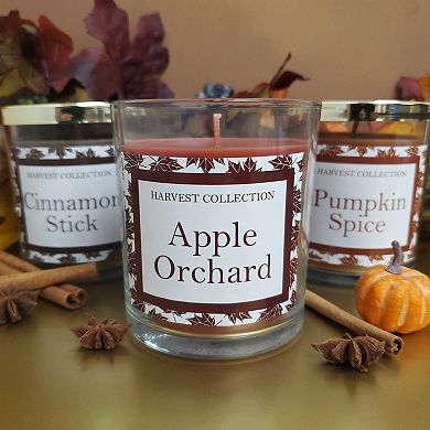 Harvest Collection Apple Orchard, Cinnamon Stick, & Pumpkin Spice Candle Jar 3-piece Set